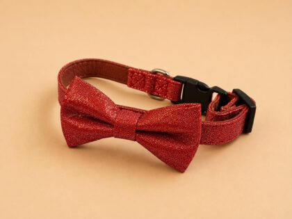 Κόκκινο κολάρο με φιόγκο και glitter