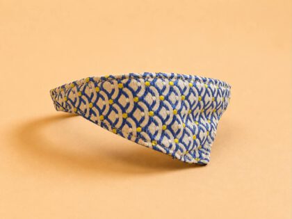 Μπλε bandana